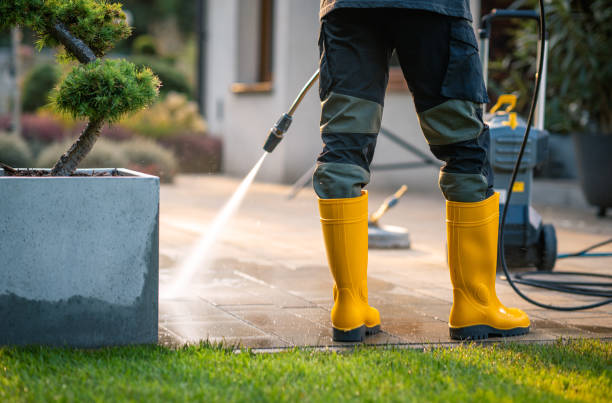 Best Gutter Cleaning in Napa, CA